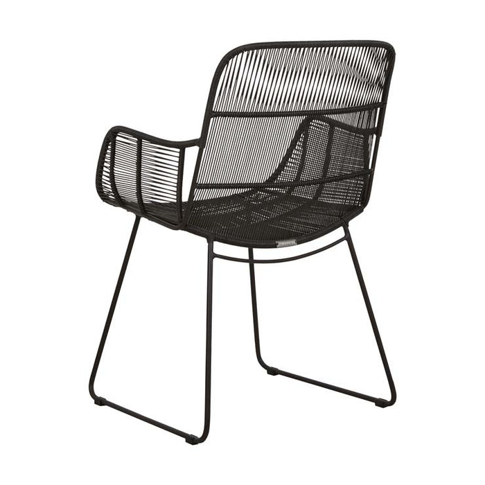 Marina Laze Dining Armchair