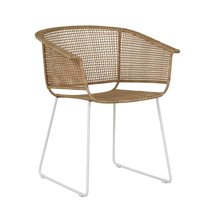 Corsica Sleigh Dining Armchair