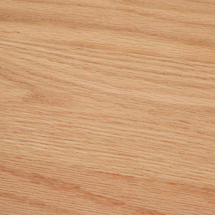 Orion Entertainment Unit